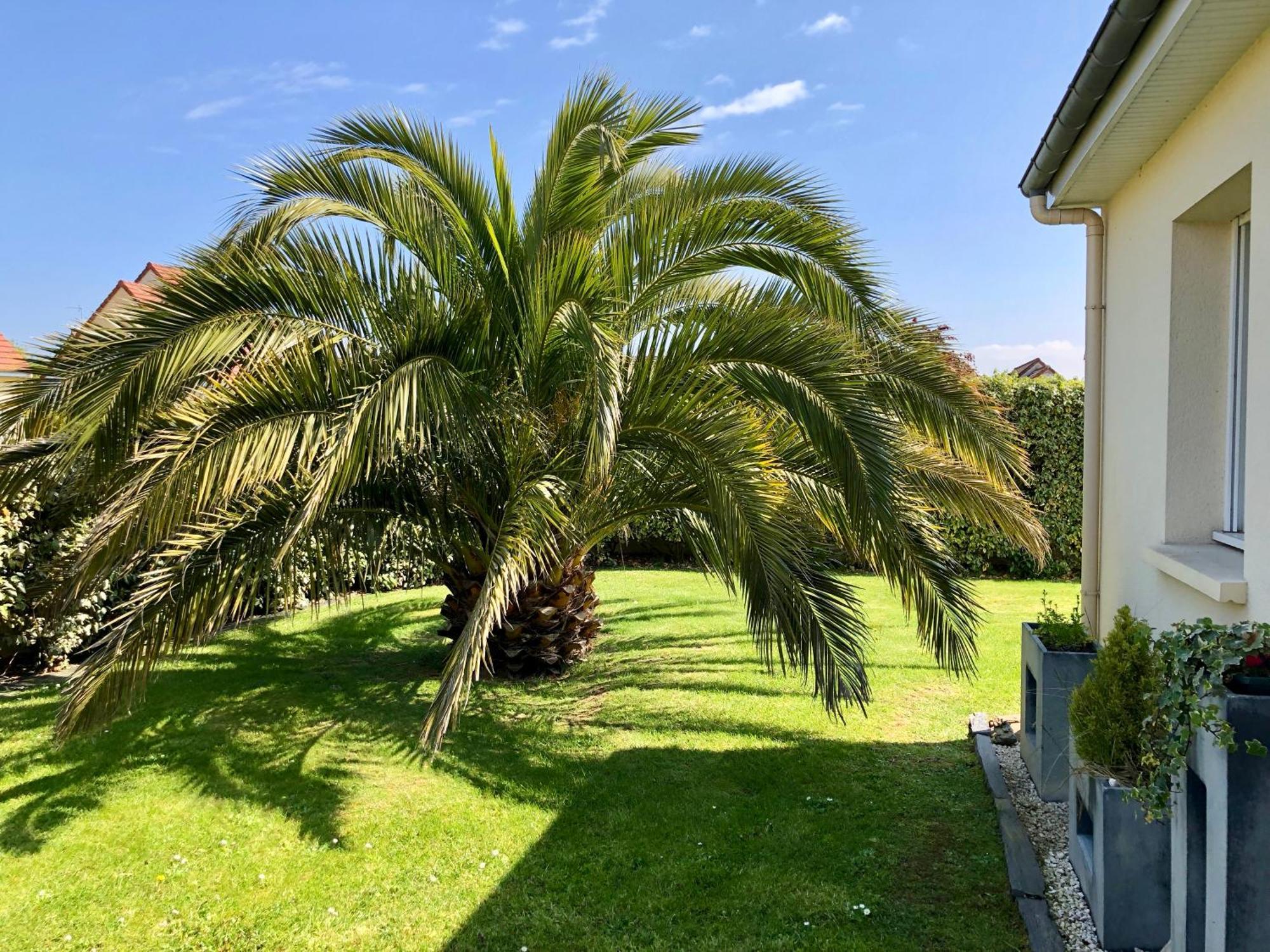 Ferienhaus Les Palmiers 7 Personnes Plages Du Debarquement